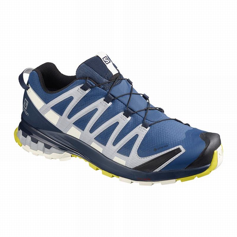 Salomon Israel XA PRO 3D V8 GORE-TEX - Mens Trail Running Shoes - Navy (VZIH-21839)